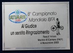Campionatul Mondial IBFA, Italia, 2005